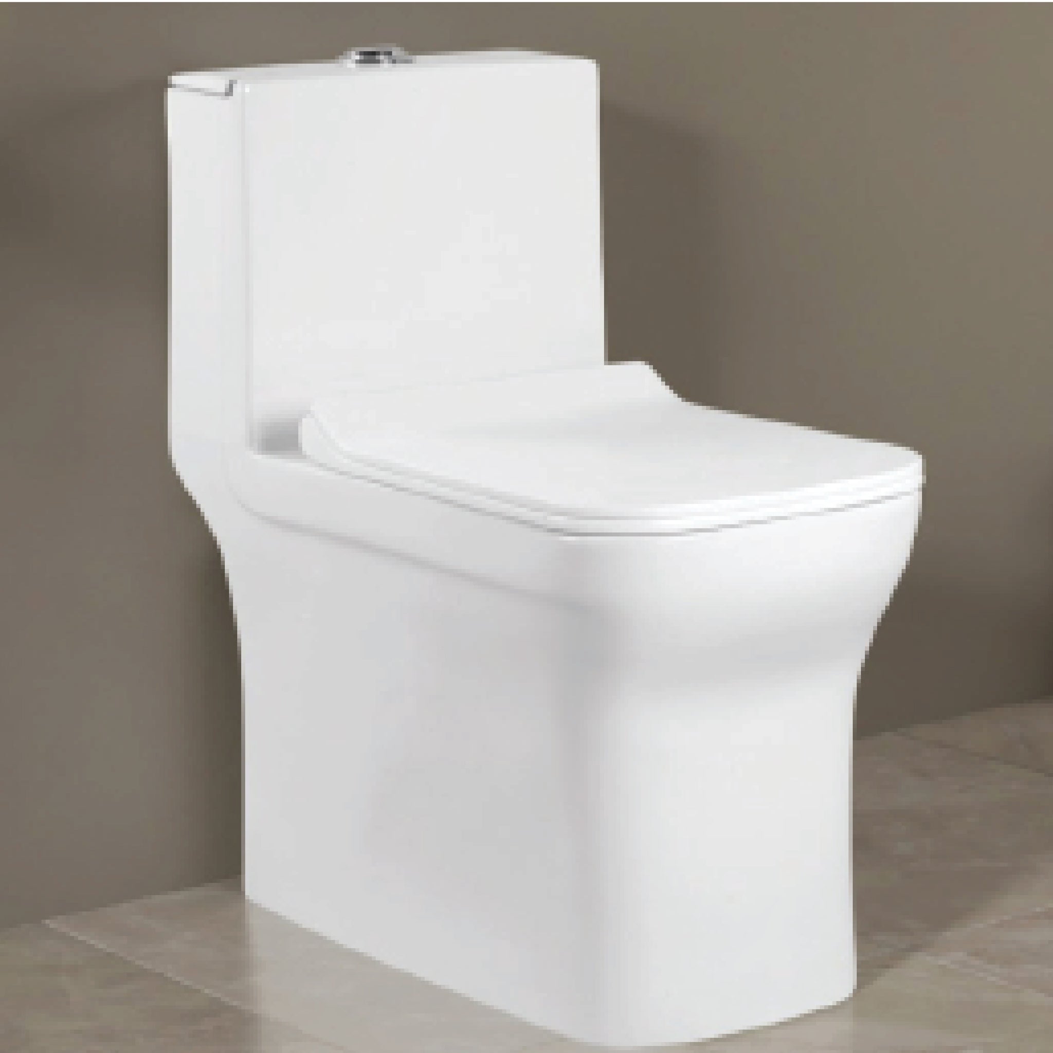 Elite One-Piece Closet with In-Built Jet Spray | Rimless Washdown | S-Trap 225mm