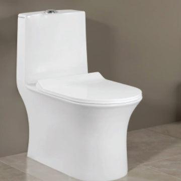 Eternia One-Piece Closet | Rimless Washdown | S-Trap 225mm